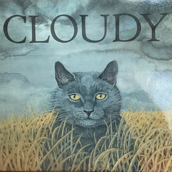 Children’s Book - “CLOUDY” - Picture 1 of 9